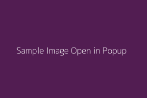 Sample Open In Popup
