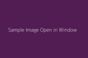 Sample Open In Window