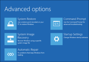 Recovery Advanced Options